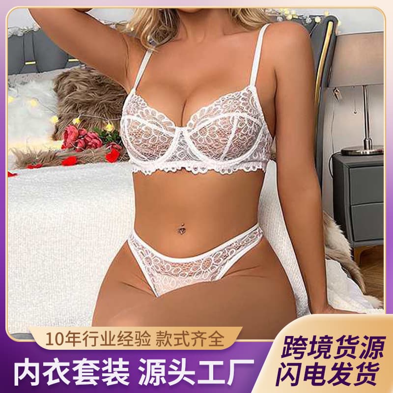 Cross-border Lace Lingerie Set with Underwire Bra Two-Piece Set, Mesh Backless Bra Set for Wholesale