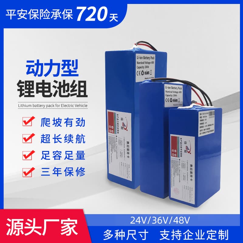 Cross-border Direct Supply PVC Electric Bicycle 24V 36V 48V 10Ah 20Ah 30Ah Lithium Battery Pack Factory Wholesale