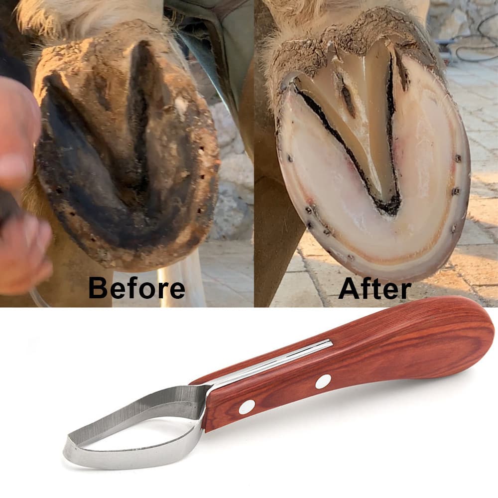 Cross-border spot hoof trimming tools, horseshoe knives, horse hoof repair, circular horseshoe knives, hoof core knives, stable supplies