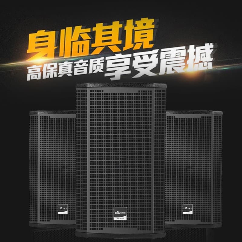 Professional Audio Outdoor Large Performance Stage Speaker, Conference Room Speaker, Full-Range Speaker