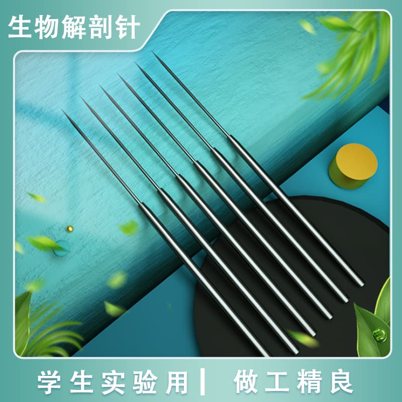Factory Biological Dissecting Needles, Insect Dissection, Carbon Steel Dissecting Needles for Biological Experiment Specimen Making and Probing