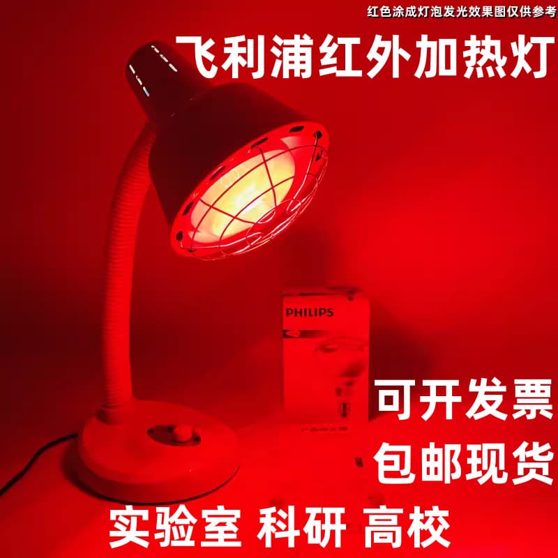 Imported Infrared Heating Lamp for University Laboratory Research, 250/375W Heat-Resistant Electrode Drying and Baking Lamp