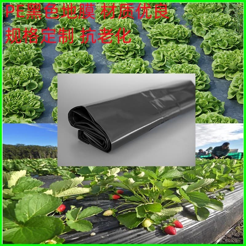 Polyethylene PE Black Mulch Film for Orchards and Strawberries, Heat and Moisture Preservation, Weed Control Film, Anti-Aging Agricultural Mulch Film