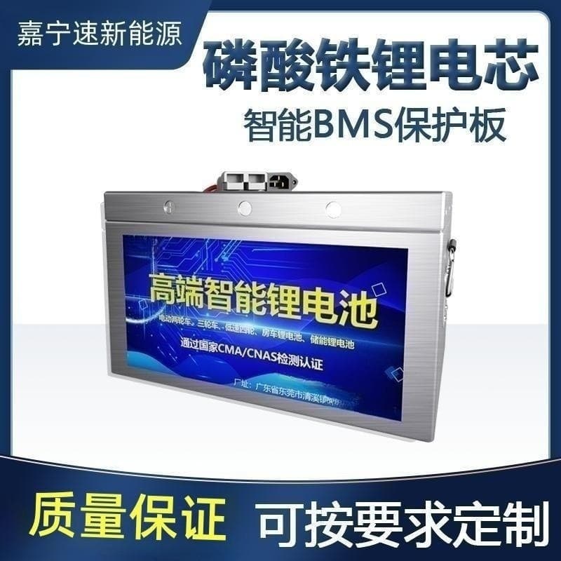 High Capacity LiFePO4 Large Brand Battery High Power Range 24V 48V 60V 70V Outdoor RV Lithium Battery