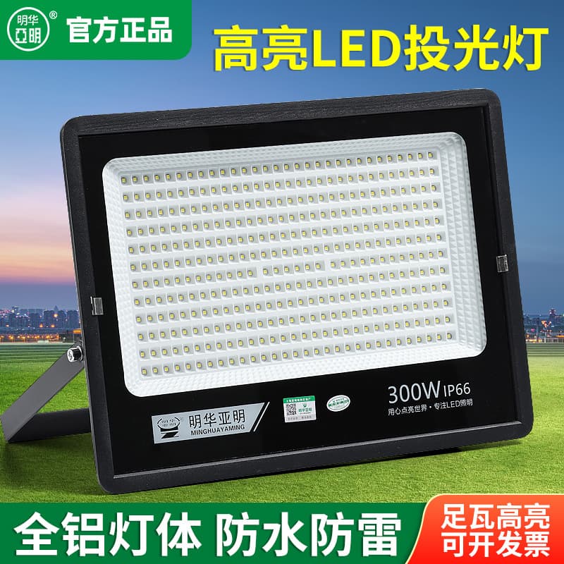 Full Wattage Apple Floodlight Outdoor Waterproof Flood Light Garden Engineering Lighting Floodlight 50W 400