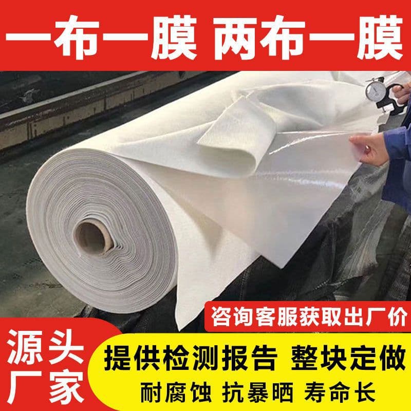 PE slope protection special HD anti-seepage, long lifespan, durable, waterproof, moisture-proof geomembrane, two fish ponds, reservoir composite