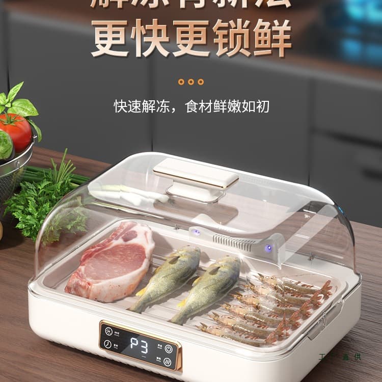 German Defroster Household Freshness Preservation Fast Automatic Heat Diffuser Plate Thawing Meat Steak Constant Temperature Large Capacity