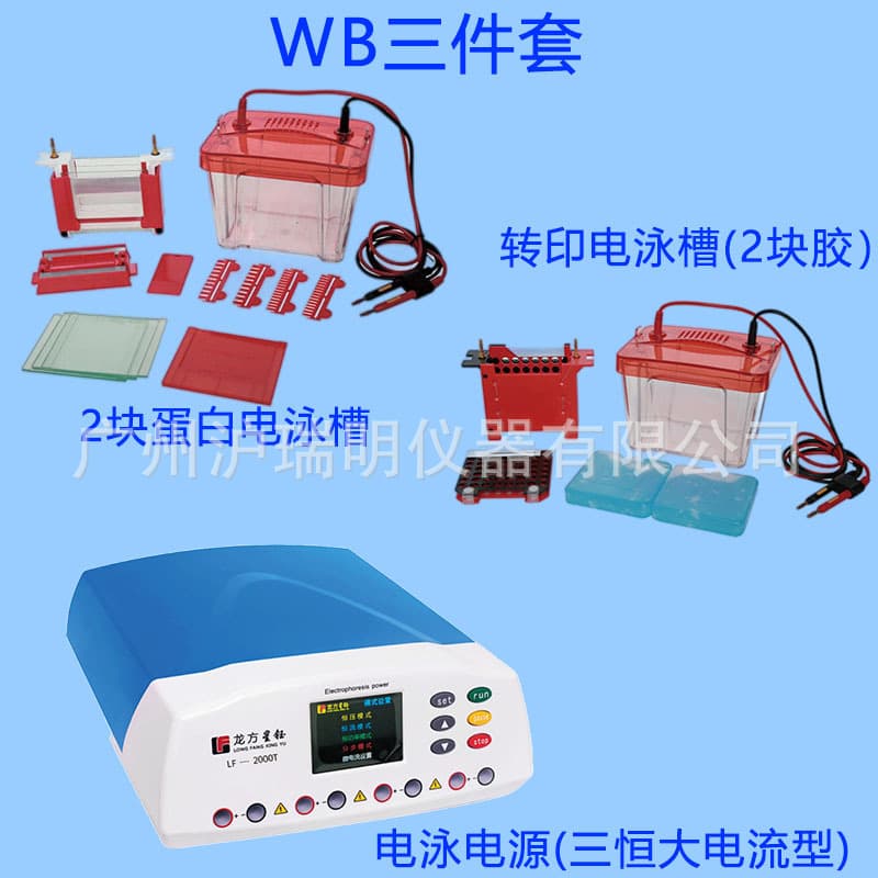 Electrophoresis Apparatus Transfer Tank Vertical Electrophoresis Tank Three-Piece Set LF-2000T/Mini2/ZY03 Electrophoresis Power Supply