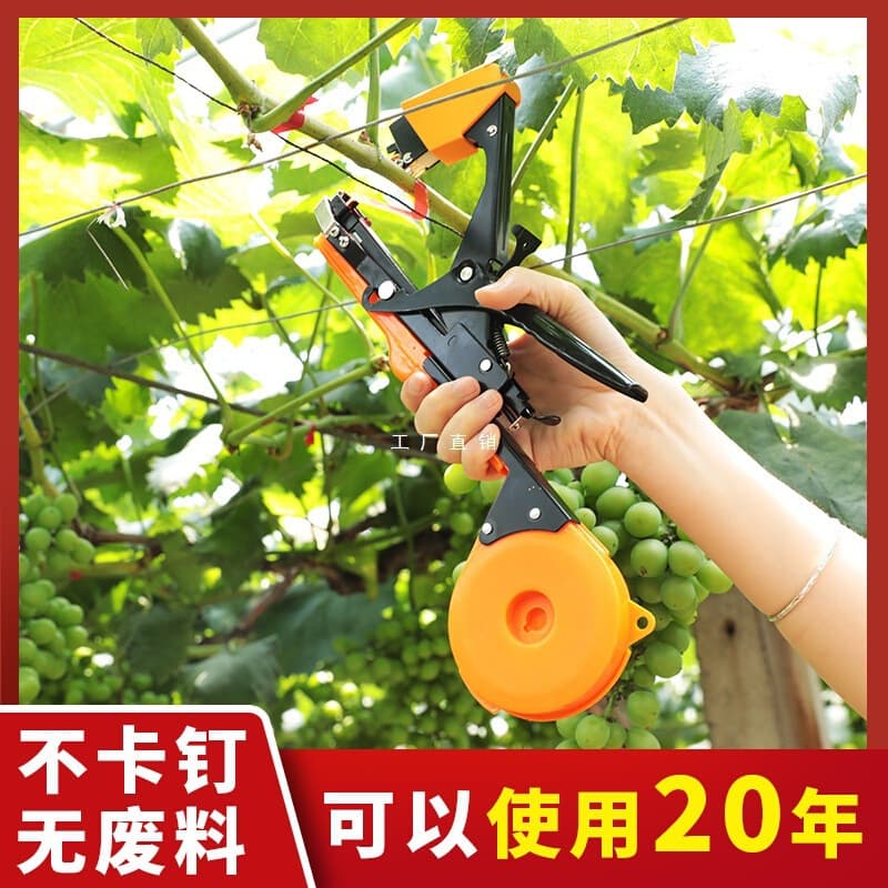 Zhenqing New Grape Vine Tying Machine, Tomato Branch Binder, Cucumber Tying Tool, Seedling Binding and Vine Tying Finishing Machine