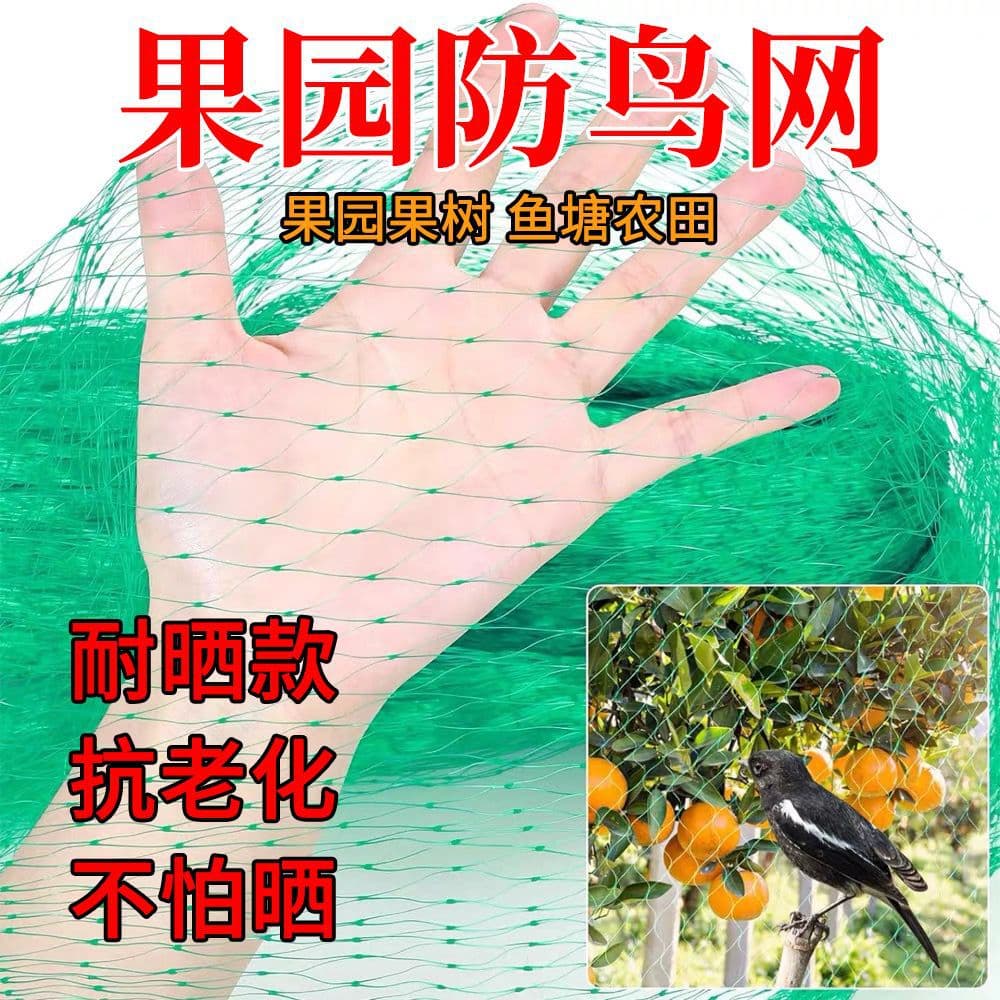 Outdoor Bird Net Full Cover Orchard Protection Net for Pear Trees, Grapes, Fruit Trees, Popular for Farmland Use
