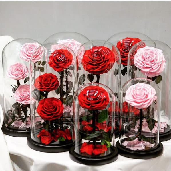 Cross-border Preserved Rose Glass Dome Little Prince Real Rose Gift for Valentine's Day Girlfriend Birthday