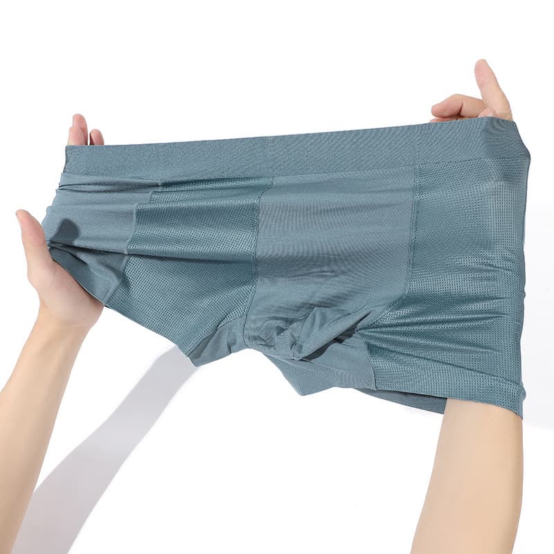 Kailisi Modal Silk Men's Underwear Breathable Antibacterial Air Conditioning Flat Angle Briefs Sporty Quick Dry Seamless Knitted