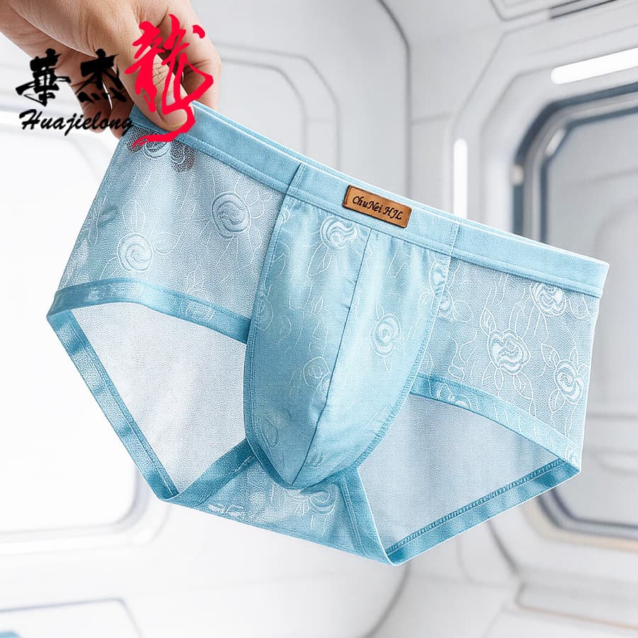 Hua Jie Long Mesh Lace Ice Silk Men's Underwear Wholesale Mid-Rise Men's Plus Size Breathable Men's Briefs Drop Shipping Available