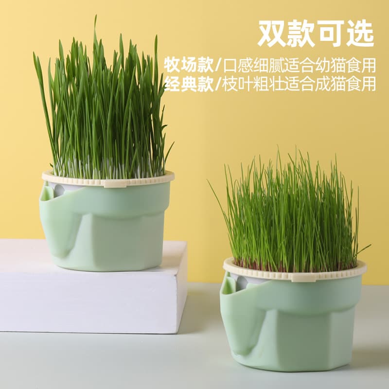Lazy Person's Cat Grass Cup Cat Hairball Free Soilless Hydroponics Snacks Repeatable Pet Supplies