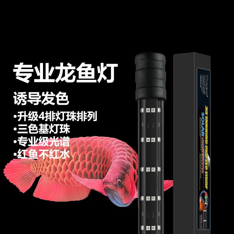 Specially designed for fish tank viewing, LED lighting for dragon fish with three primary colors, waterproof, bright and red, diving light
