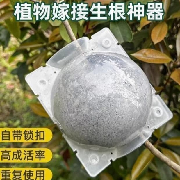 Flower and fruit tree plant high pressure propagation grafting box controlled root cutting propagation ball rooting seedling propagator