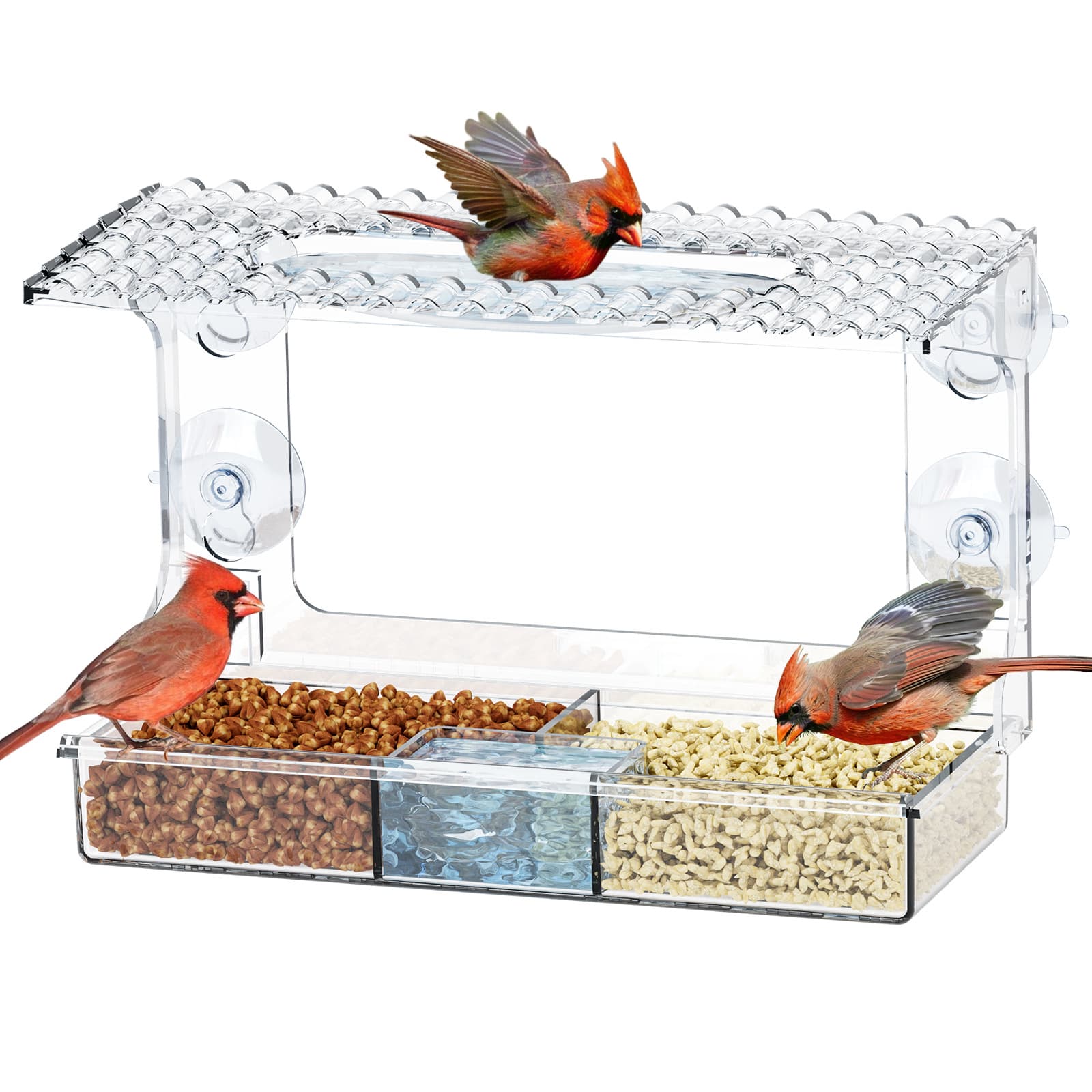 Cross-border Amazon Pet Bird Cage Outdoor Window Bird Feeder Transparent with Strong Suction Cup No-Punch Plastic Bird House