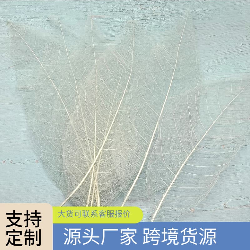 Vein Magnolia Leaf Premium Leaf Bookmark Diamond Leaf Frame Wall Decoration Pressed Flower Factory Direct Dry Flower