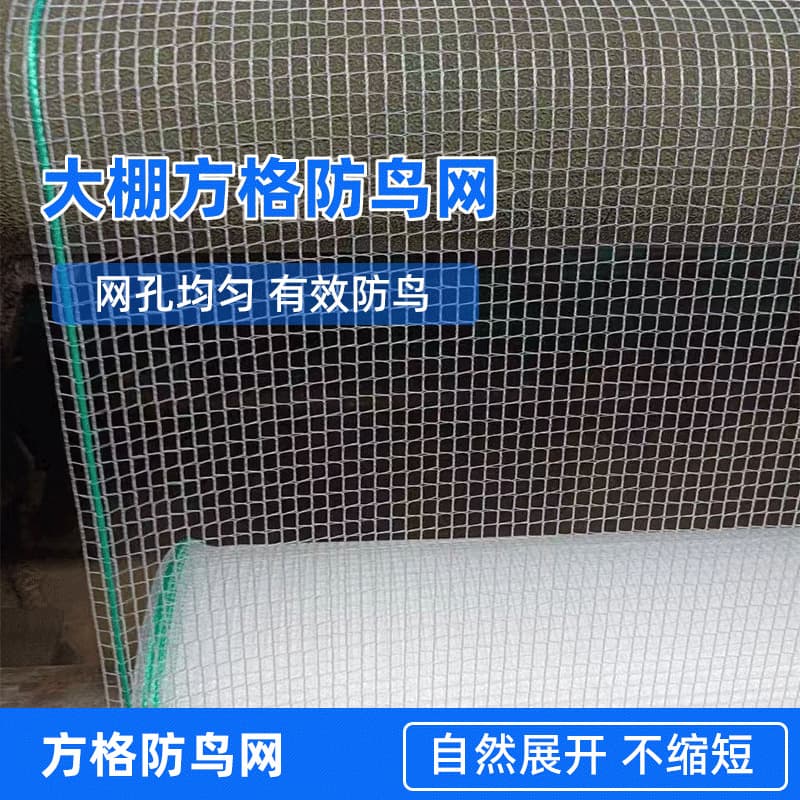 Bird-proof netting with ropes on both sides, special netting for greenhouses, farmland protection netting, bird-proof netting for vegetable gardens, grapevines, cherry or rice paddies.