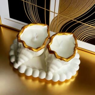 Conch Aromatherapy Candle Gift Box Wholesale Atmosphere Decorative Ornament Handmade Molded Candle Gift for Girlfriend Favor