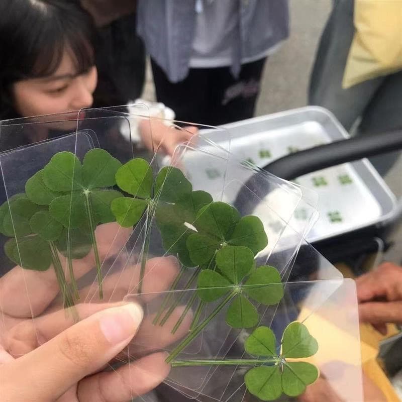 50 Pieces 10.9 Lucky Four-Leaf Clover Transparent Acrylic Cards, Fresh and Simple, Good Luck Wishing Bookmarks, Healing Gift