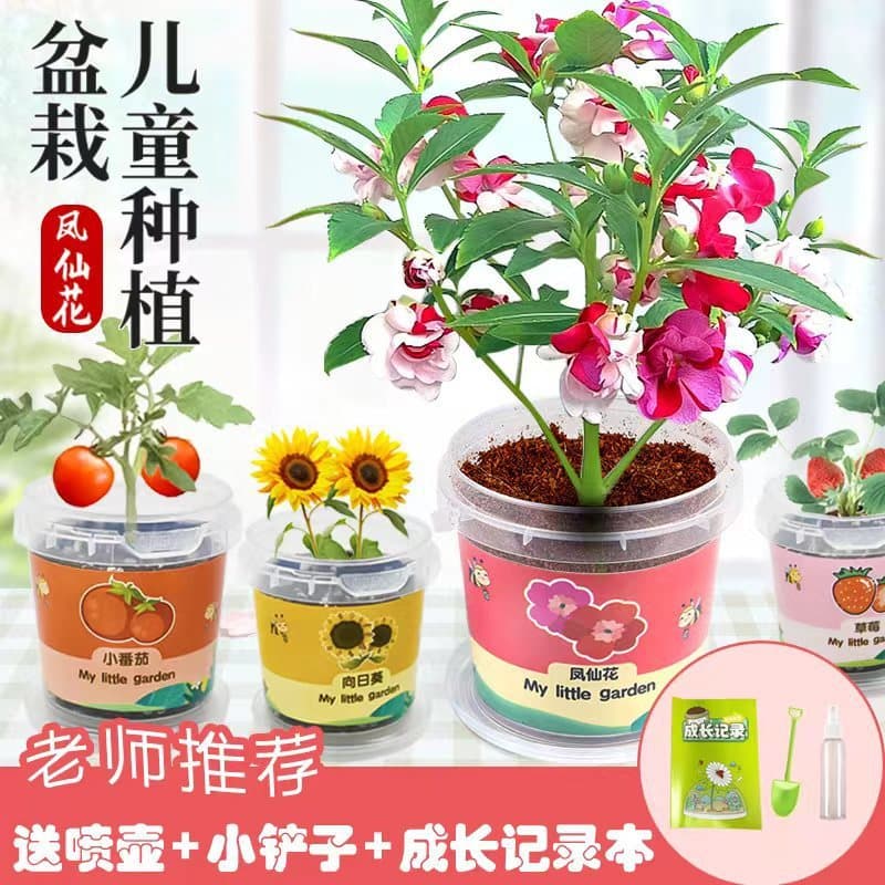 Children's Planting Pot Creative Plant DIY Birthday Office Balcony Sunroom Cute Seeds Wholesale