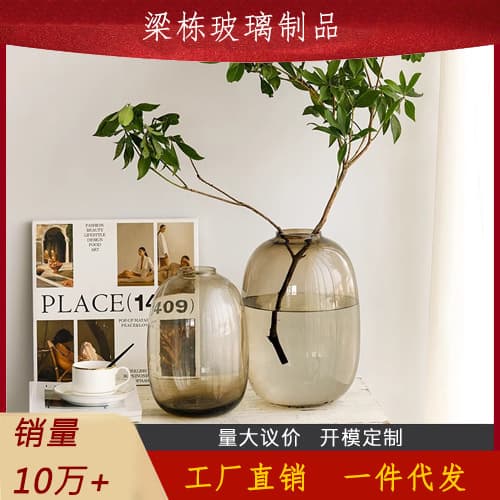Internet celebrity simple high-end joy glass vase flower arrangement water cultivation living room horse drunken wood snow willow hydroponic flower device on behalf of