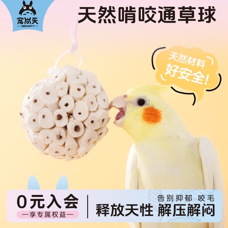 Chongshangtian Parrot Toy Tongcao Ball Fun Play Budgie Cockatiel Sun Conure Intelligence Training Toy Supplies