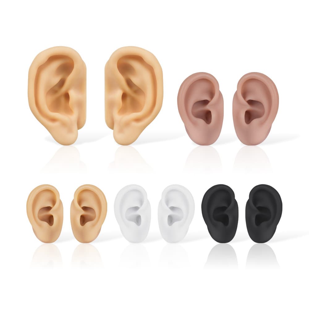 5D Ear Cleaning Teaching Silicone Earphone Display Model Acupoint Ear Stud Earrings Hearing Aid Cross-border Prop
