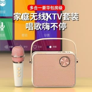 Aishuomei B153 Wireless Bluetooth Speaker with Karaoke Microphone, Home KTV All-in-One Stereo Sound