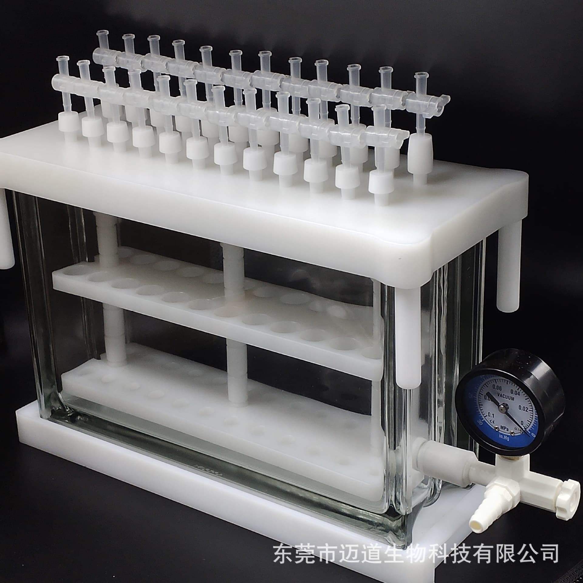 SPE Manual Solid Phase Extraction Apparatus 12/24-Position Glass Corrosion-Resistant Vacuum Pump Solid Phase Extraction Instrument