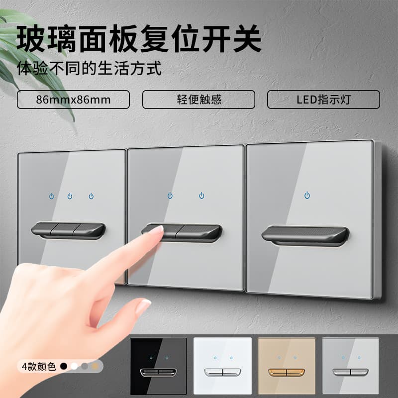International Electrician Glass Toggle Gray with Indicator LED Large Panel 1-Gang 5-Outlet Switch with Power Cut-off Plug