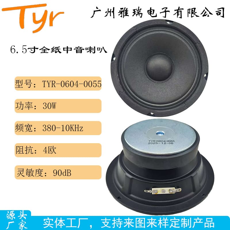 TYR-0604-0055 6.5-inch 100 Magnet High Power Midrange Speaker
