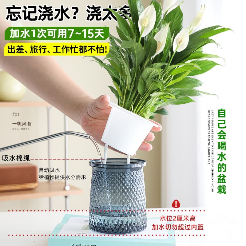 Peace Lily Potted Indoor Green Plant, Easy-Care Hydroponic Plant, Absorbs Formaldehyde, Thrives Year-Round