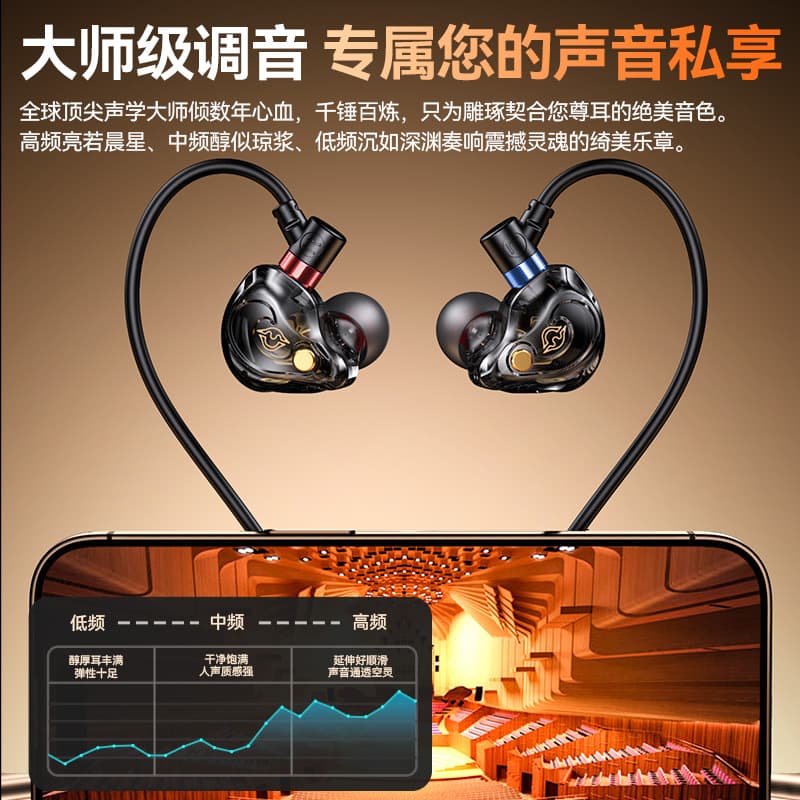 Cross-border Digital Decoding Resin Earphones Type-C In-ear Esports Dedicated Gaming Earphones Universal for Computer