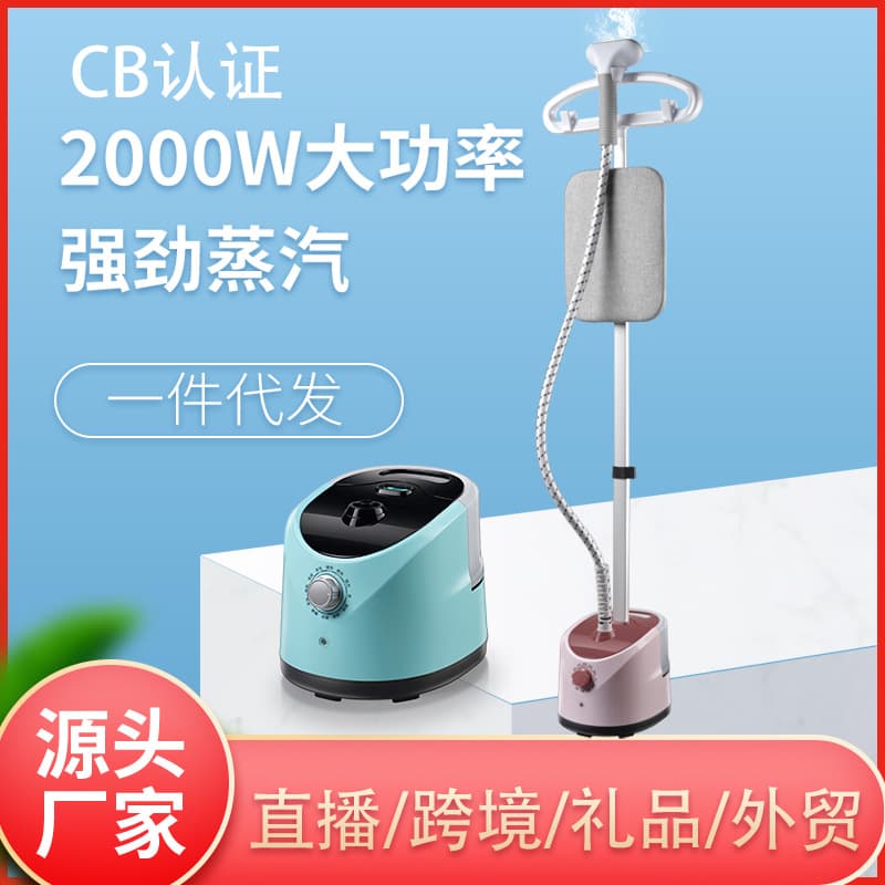 Portable Home Use Ironing and Pressing Machine Vertical Garment Steamer One-Piece Agency Service Ironing Machine China Mainland