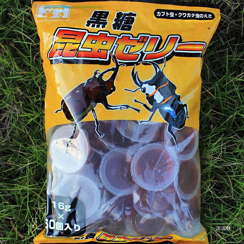 Beetle Insect Jelly - Adult Stag Beetle, Rhinoceros Beetle, Hercules Beetle, Rainbow Beetle, Ant, Gecko, Hermit Crab Food