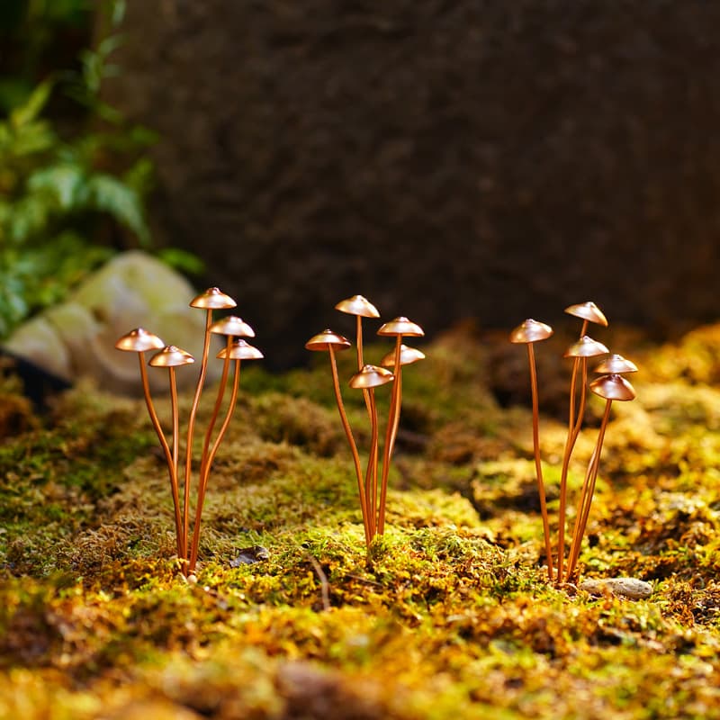 Cross-border New Mini Mushroom Bonsai Decoration Mushroom Craft Ornament