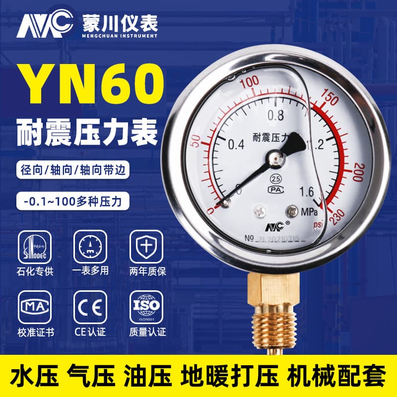 Stainless Steel Pressure Gauge Yn60 Shock-Resistant Pressure Gauge 2.5Mpa Hydraulic Water Pressure Gauge Vacuum Negative Pressure Gauge Air Pressure Gauge