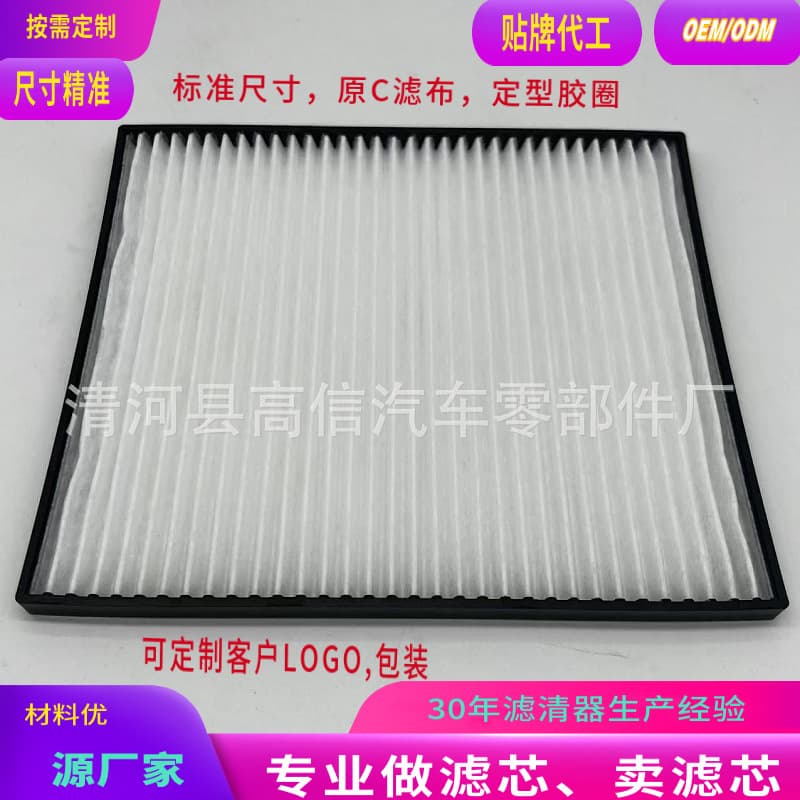 Professional Manufacturer's Vehicle Air Conditioning Filter PA30269/F37-1018/S28571 S-9034