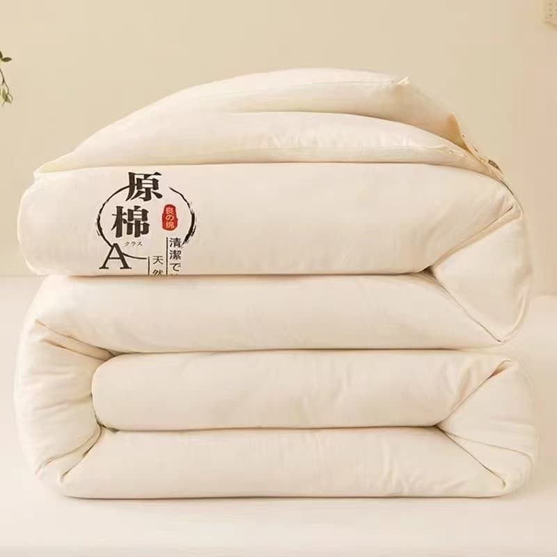 Class A raw cotton soybean quilt thickened spring and autumn quilt soy fiber winter quilt gift quilt live broadcast quilt wholesale