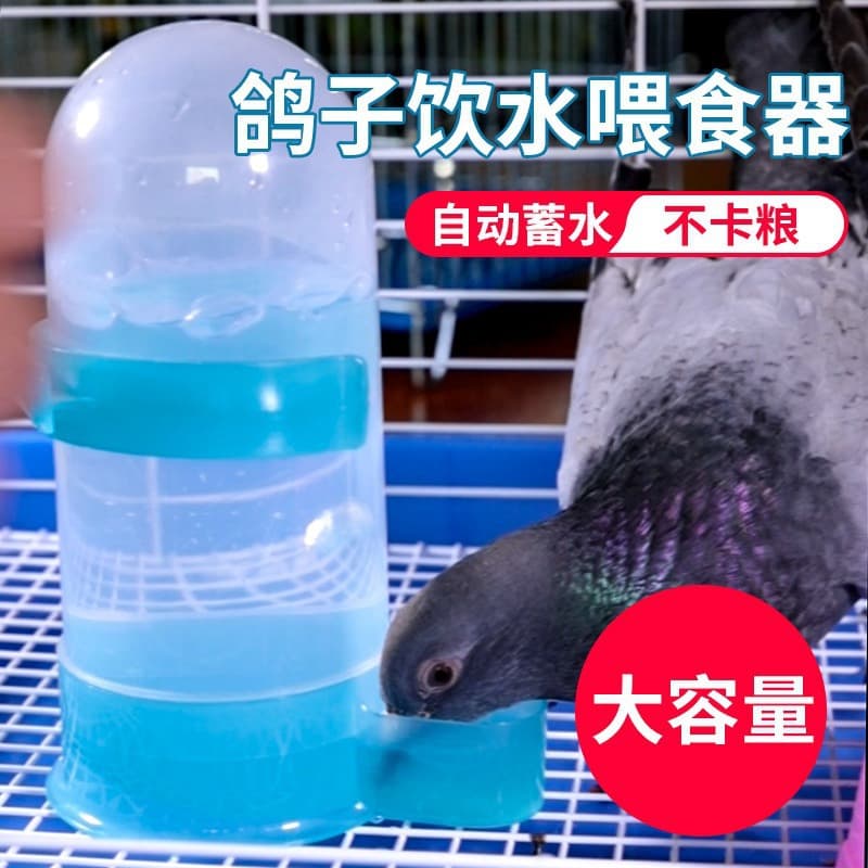 Pigeon automatic water feeding drinker kettle supplies utensils carrier pigeon parrot food box trough feeding bird feeder wholesale