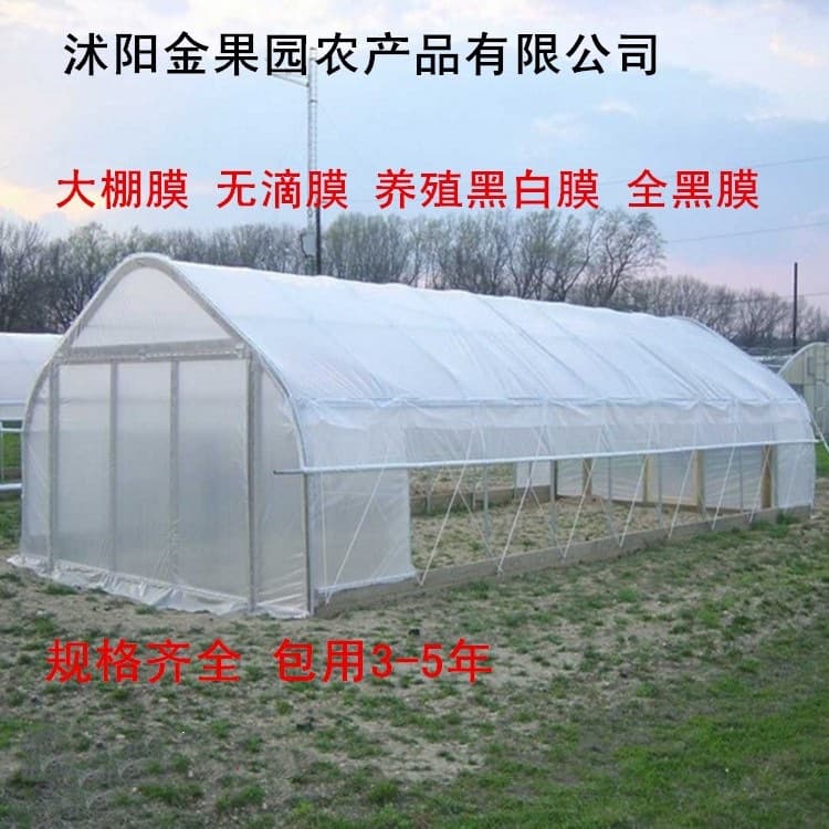 Wholesale Greenhouse Film Drip-Free Agricultural PE Clear Plastic Sheeting Greenhouse Farming Black-White Film High Transparency Strong Anti-Aging