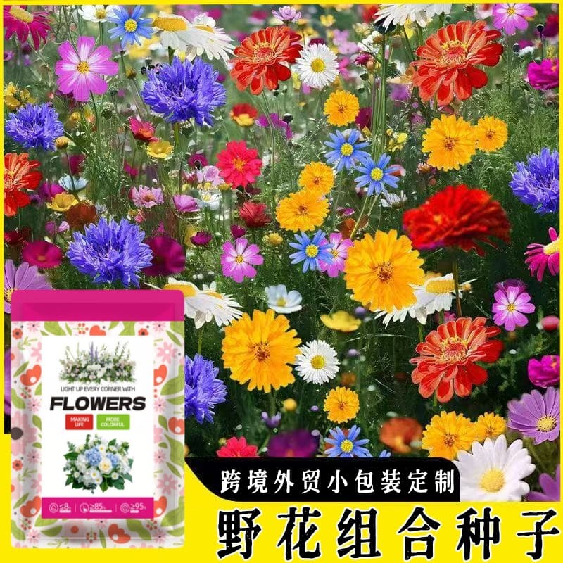 Cross-border trade perennial wildflower seeds, easy to grow in all seasons, wildflower mix flower seeds in small packaging
