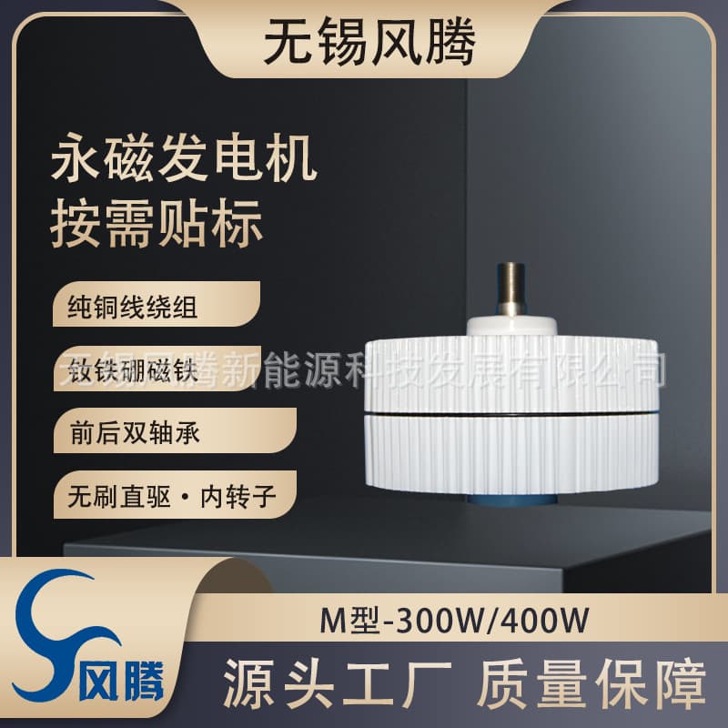 M-300W 12V24V48V three-phase AC rare earth permanent magnet generator turbine generator with labeling service