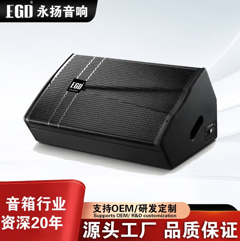 EGD CV3012M Government and Enterprise Conference Room Speaker Professional Stage Speaker 12-inch Floor Monitor Speaker
