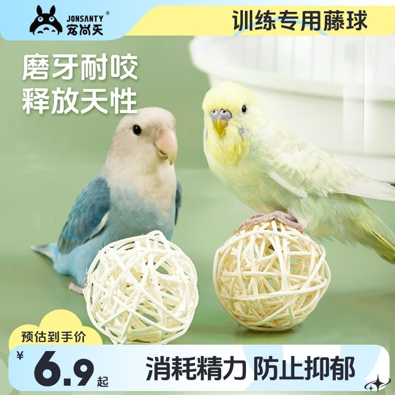 Chongshangtian Budgie Rattan Ball Chew Toy, Grinding, Foraging, Training, Interactive, for Cockatiels, Lovebirds, and Parrots
