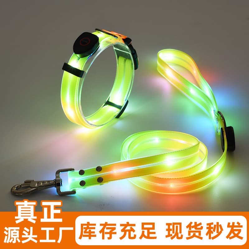 Cross-Border Led Dog Light-Up Collar USB Charging Glowing Collar for Night Use Pet Light-Up Collar with Leash
