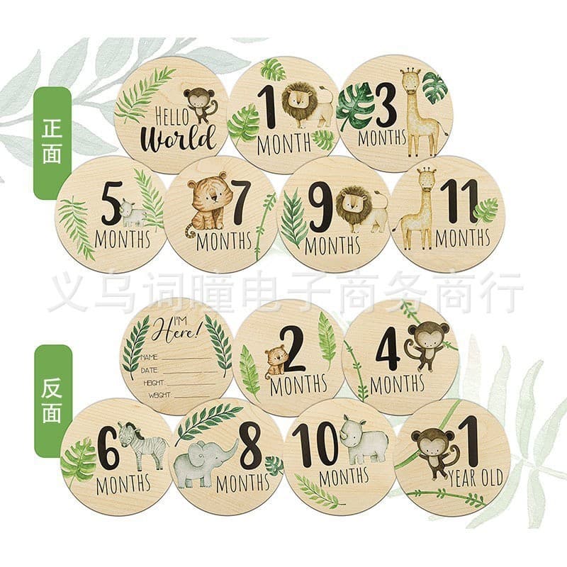 Baby Milestone Sign Set Baby Festival Photography Props Various Festival Wooden Props Cards