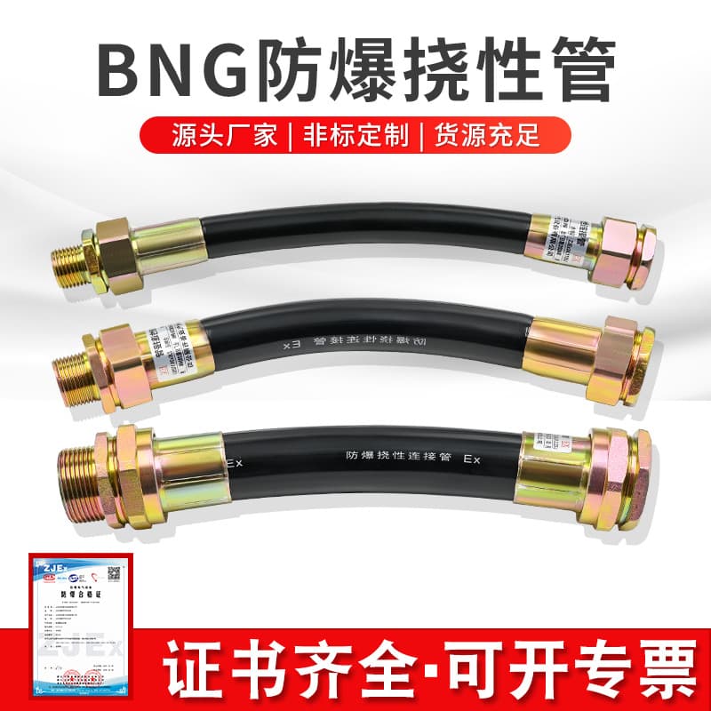 BNG explosion-proof flexible connection pipe DN20, explosion-proof flexible pipe G3/4, explosion-proof hose DN15, explosion-proof conduit 6-point